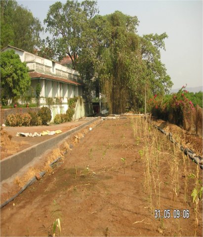 Ecology conservation programme in Nhava through the Marine Museum